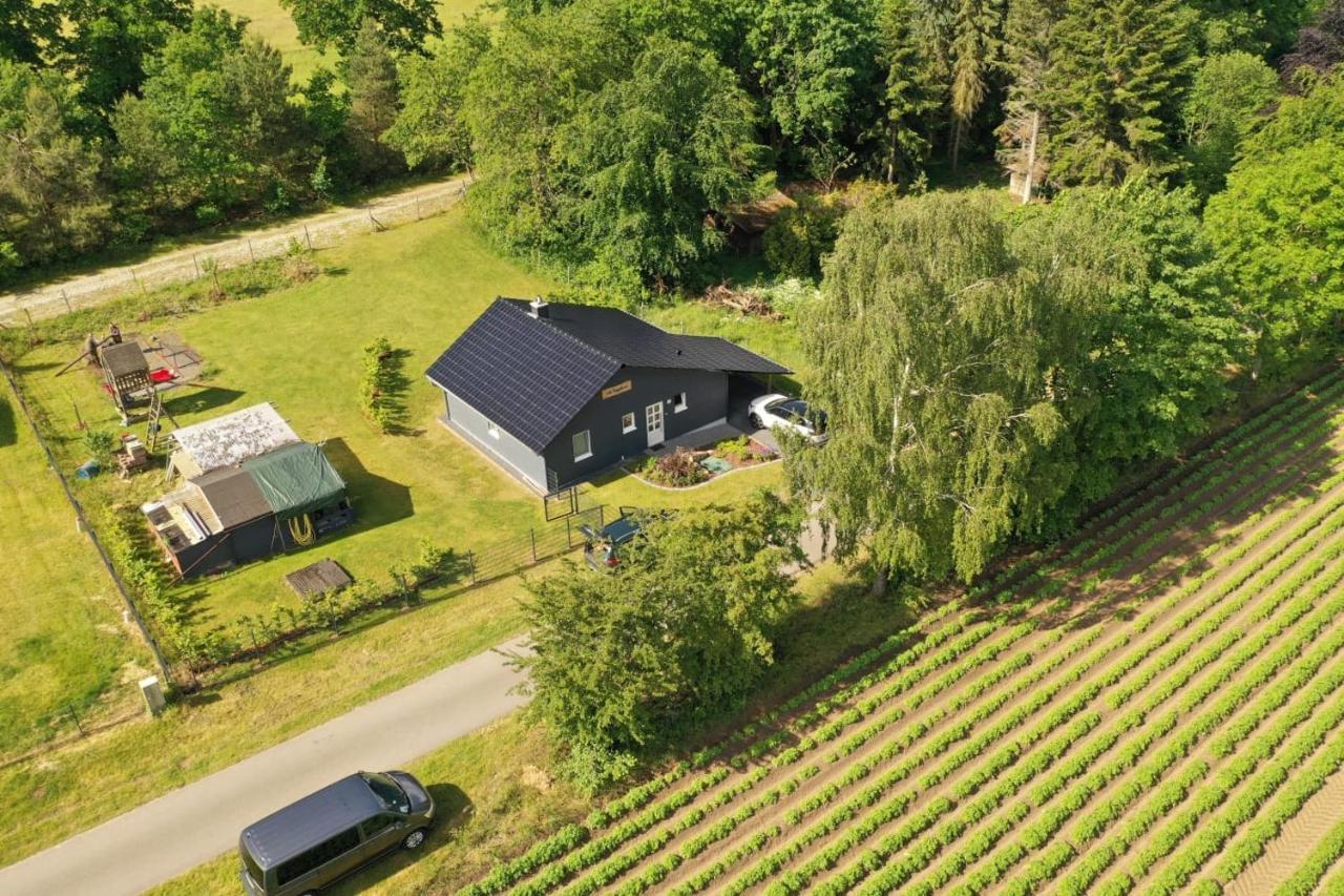 Ferienhaus “ Lille Hyggehytte“ Altenmedingen Exterior photo